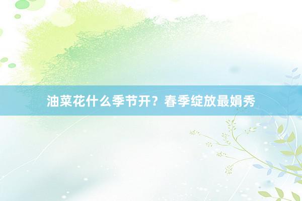 油菜花什么季节开？春季绽放最娟秀